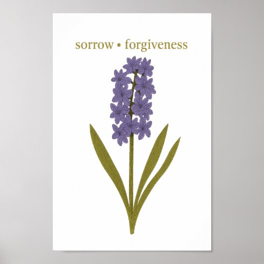 Purple Hyacinth – 悲しみ、許し ポスター (正面)