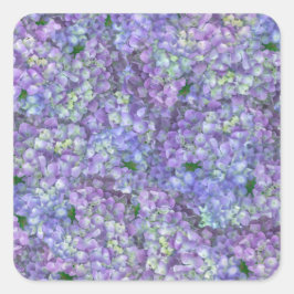 Purple hydrangea flowers スクエアシール