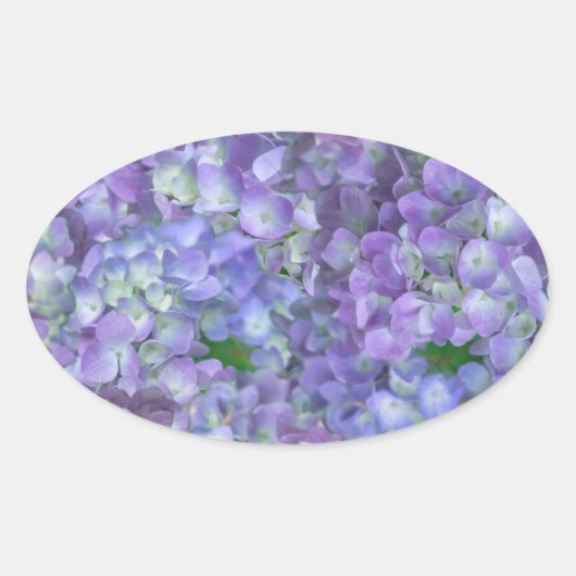 Purple hydrangea flowers 楕円形シール (正面)