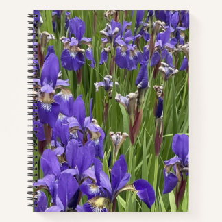 Purple Iris Flowers Nature Plants Photography ノートブック