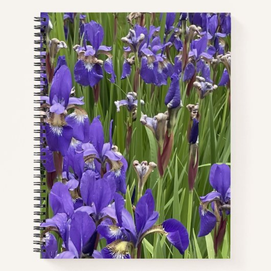 Purple Iris Flowers Nature Plants Photography ノートブック (正面)