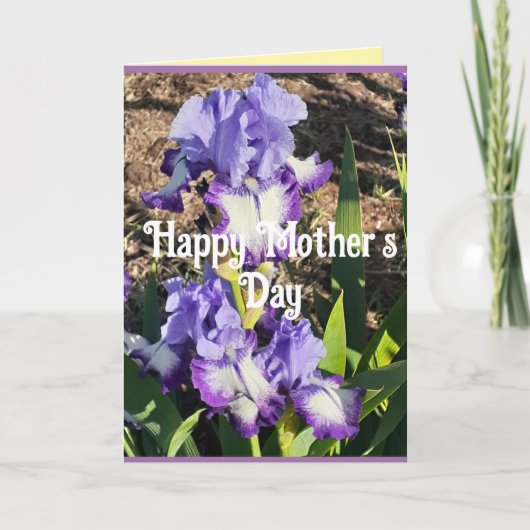 Purple Iris Irises Flower floral Mothers Day Card カード (正面)