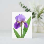 Purple Iris Postcard ポストカード (スタンド正面)