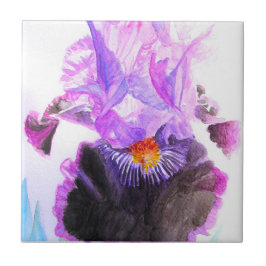 Purple Iris Watercolor Flower Floral Birthday タイル
