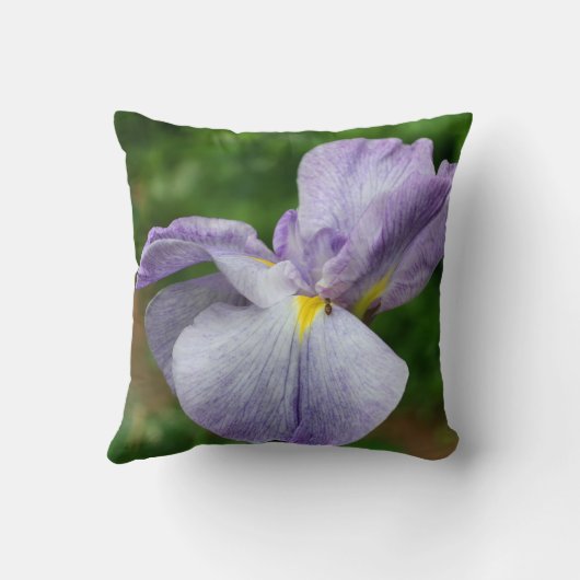 Purple Japanese Iris Flower Unfolding   クッション (裏面)