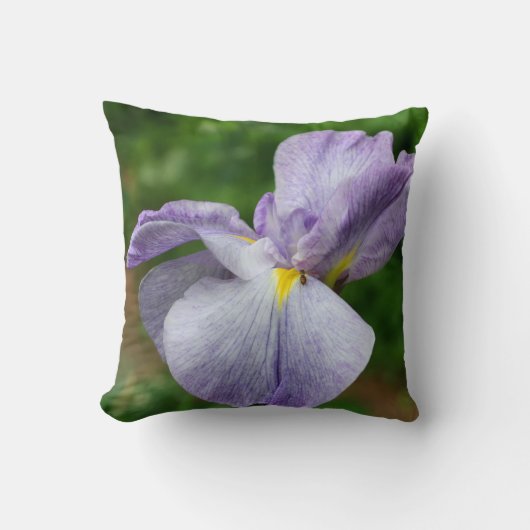 Purple Japanese Iris Flower Unfolding   クッション (正面)