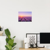Purple Lavender Fields Poster - Provence France ポスター (ホームオフィス)