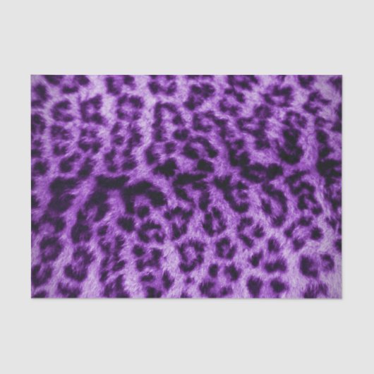 Purple Leopard Print 薄葉紙 (正面)