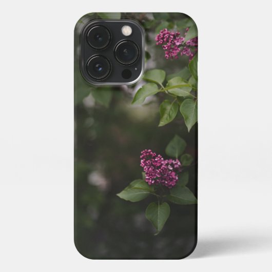 Purple lilac flowers on dark green iPhoneケース (裏面)