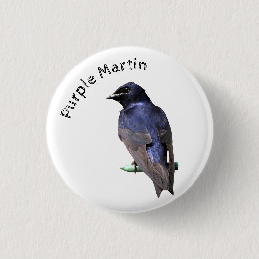 Purple Martin 缶バッジ (正面)