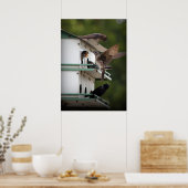 Purple Martin Family ポスター (キッチン)