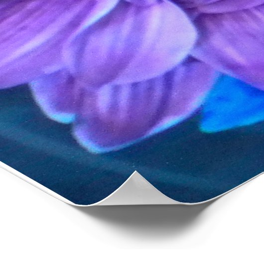 Purple N Turquoise Daisies  ポスター (角)