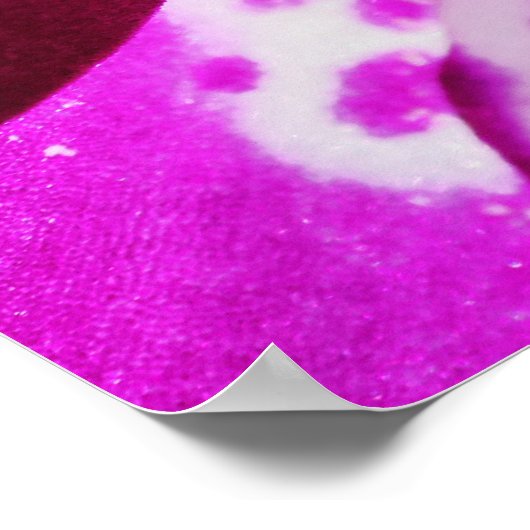 Purple Orchid ポスター (角)