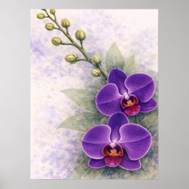 Purple Orchid Duo Flower Botanical  ポスター