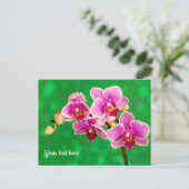 Purple Orchid on Green Postcard ポストカード (スタンド正面)