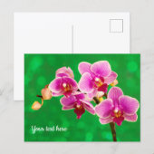 Purple Orchid on Green Postcard ポストカード (正面/裏面)