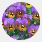 Purple Pansies ラウンドシール (正面)
