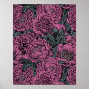 Purple peony flowers ポスター