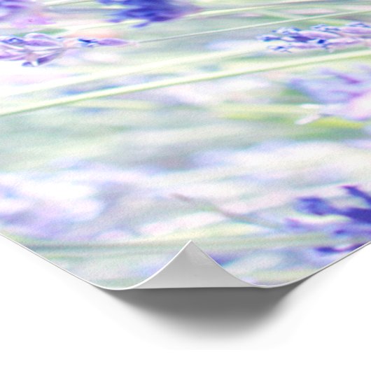 PURPLE PETALED FLOWERS ポスター (角)