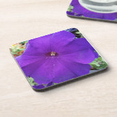Purple Petunia Coster コースター (左側)