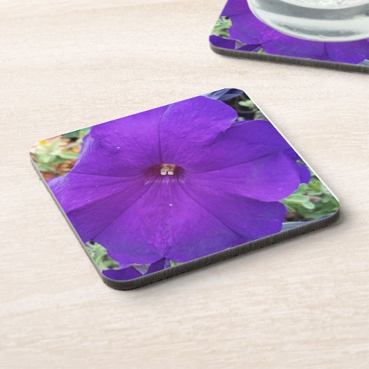 Purple Petunia Coster コースター (左側)