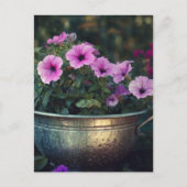 Purple Petunias ポストカード (正面)