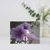 purple petunias post card ポストカード (スタンド正面)