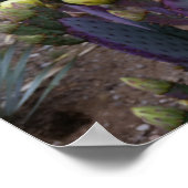 Purple prickly pear opuntia cactus yellow flowers ポスター (角)