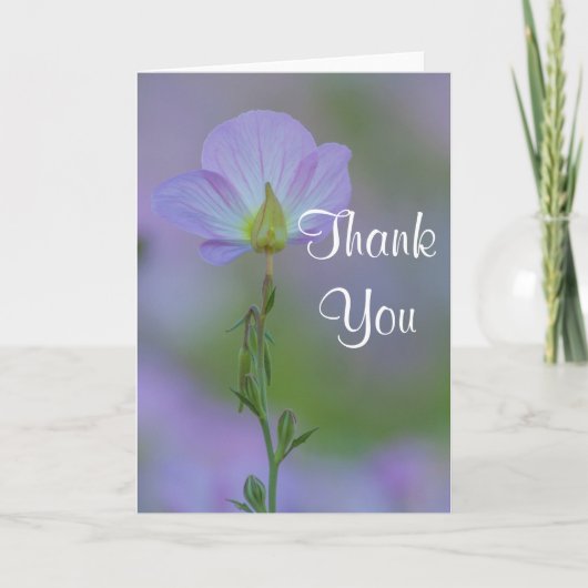 Purple Primroseありがとう サンキューカード (正面)