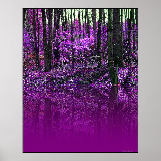 Purple Reflectionsポスター ポスター (正面)