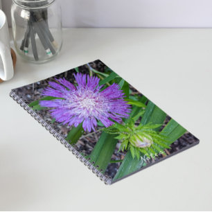 Purple Stoke's Aster Floral ノートブック