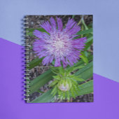 Purple Stoke's Aster Floral ノートブック
