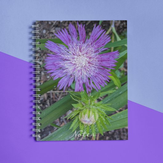 Purple Stoke's Aster Floral ノートブック