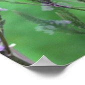 Purple Vervain Flowers Multiplied ポスター (角)