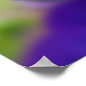 Purple Violas ポスター (角)