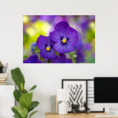 Purple Violas ポスター (ホームオフィス)