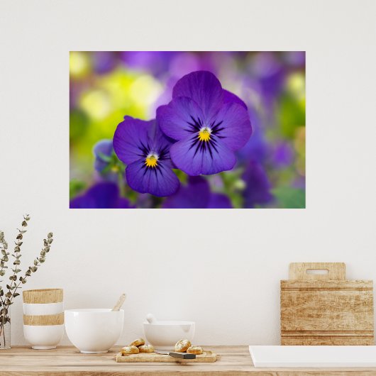 Purple Violas ポスター (キッチン)