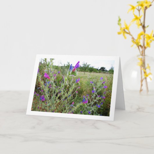 Purple Viper's-bugloss、Echium Plant カード (黄色い花)