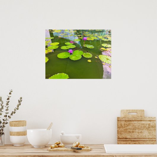 Purple Water Lilies on Green Pond ポスター (キッチン)