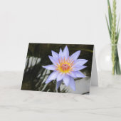 Purple Water Lily Greeting Card 案内状 (正面)