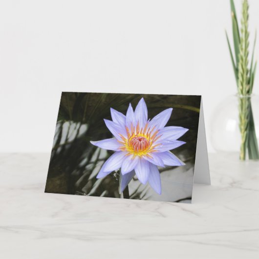 Purple Water Lily Greeting Card 案内状 (正面)