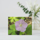 Purple Wild Geranium Michigan Wildflower Postcard シーズンポストカード (スタンド正面)