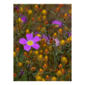 Purple Wildflower – Nature’s Colour Symphony ポスター (正面)