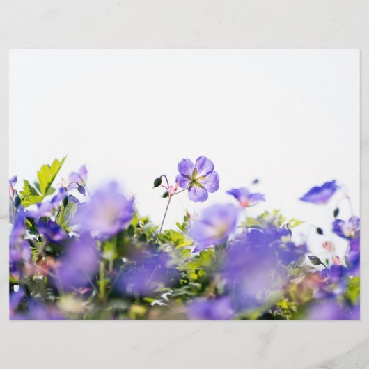Purple Wildflower Two-Sided Scrapbook Paper (正面)