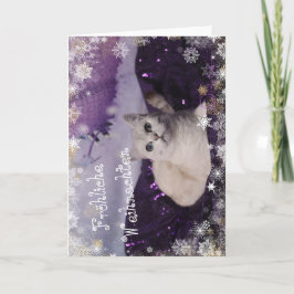Purple XMAS Cats シーズンカード
