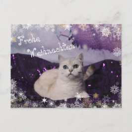 Purple XMAS Cats シーズンポストカード