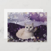 Purple XMAS Cats シーズンポストカード (正面/裏面)