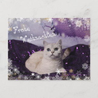 Purple XMAS Cats シーズンポストカード
