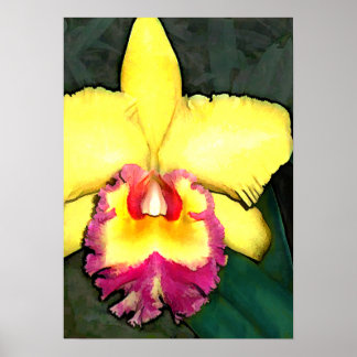 Purple & Yellow Cattleya Orchid ポスター