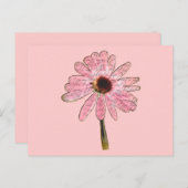 purpleconeflower最愛3 ポストカード (正面/裏面)